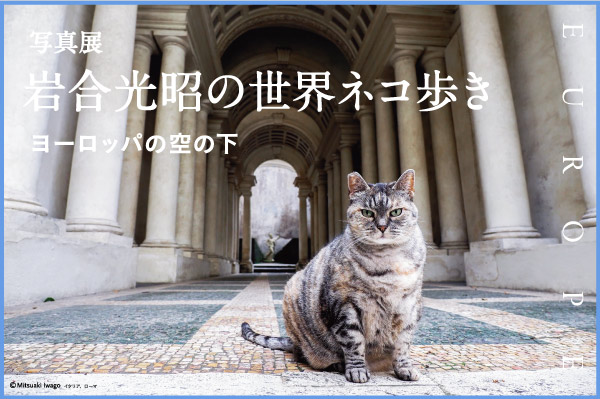 写真展 岩合光昭の世界ネコ歩き ヨーロッパの空の下