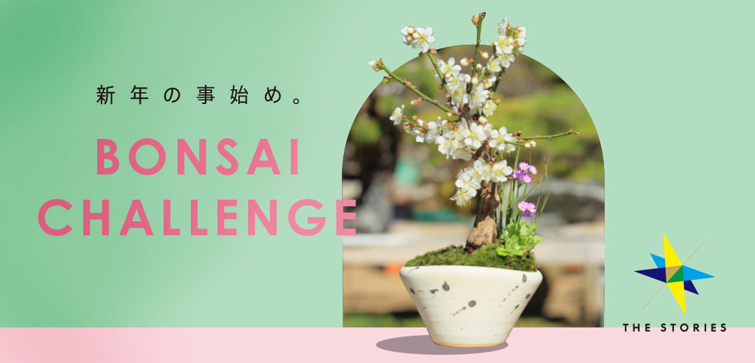新年の事始め。今年は「盆栽」にチャレンジしてみませんか?の画像
