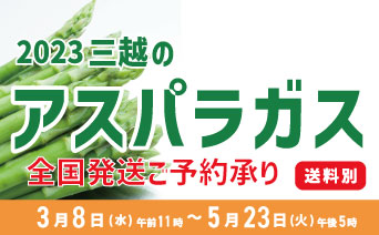 札幌三越のアスパラガス 全国発送ご予約承り