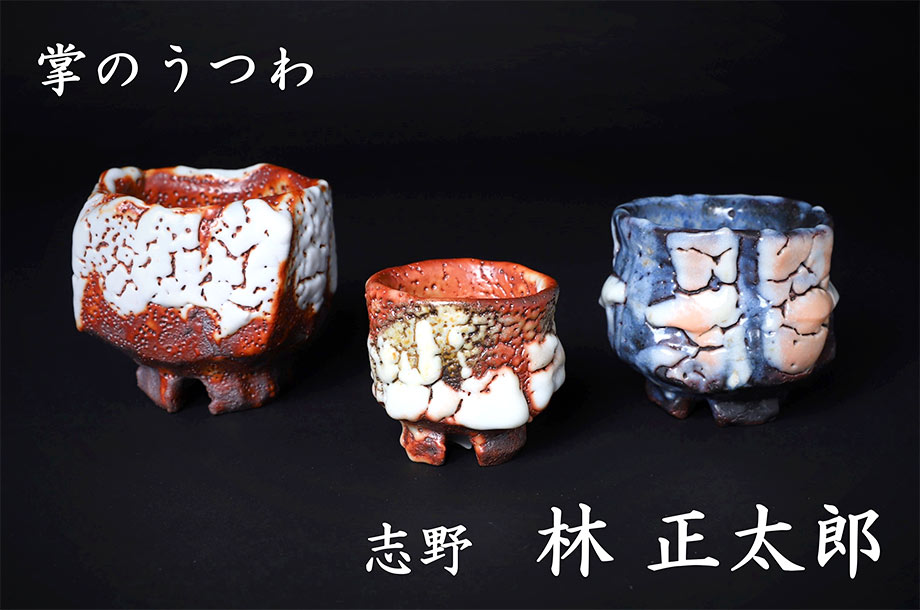 【茶】林 正太郎 赤志野 花生