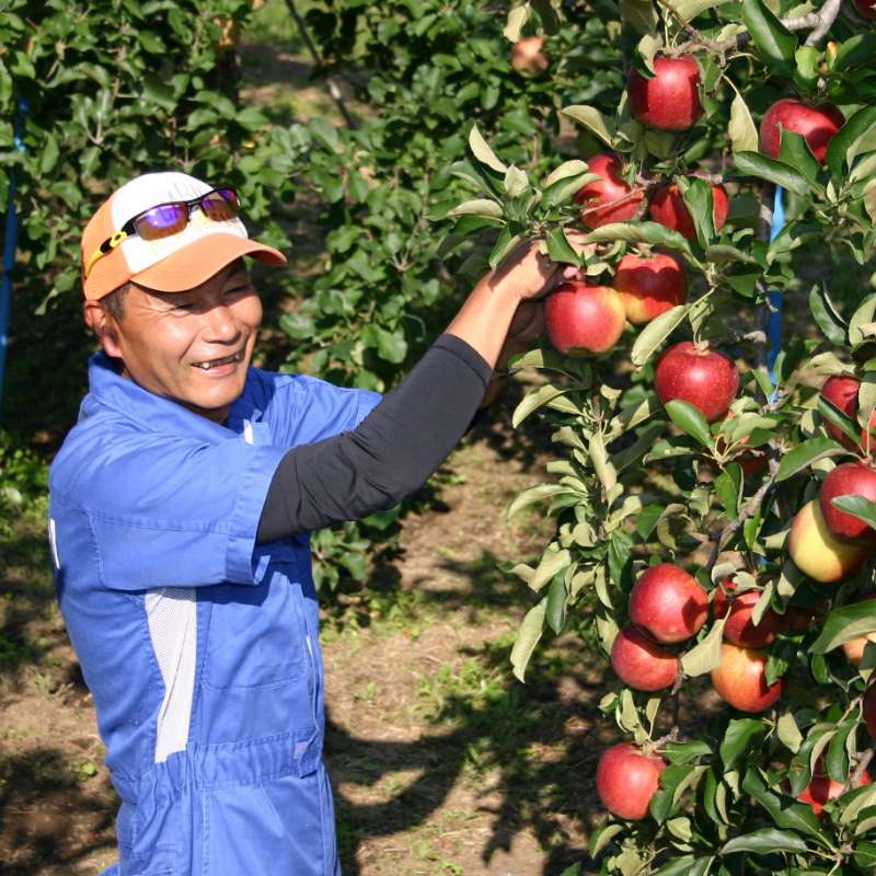 ABE Fruit（福島県福島市）