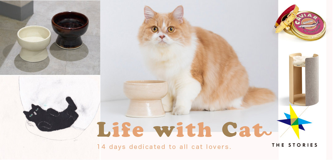 すべての猫好きに捧げる14日間|Life with Catの画像