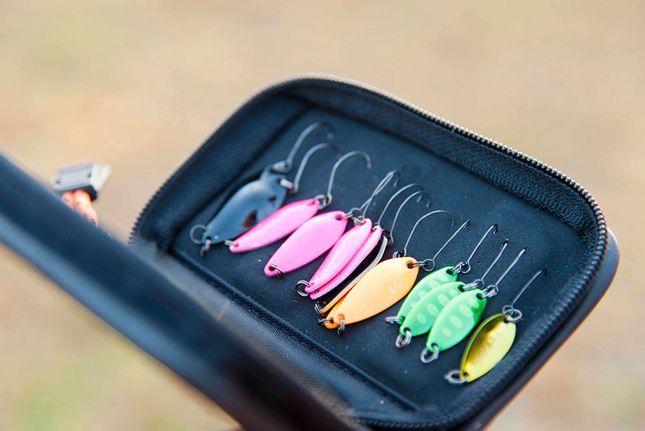 daiwa young fishing club