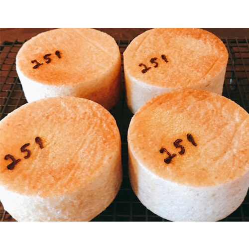 ＜251nikoichi / ニコイチ＞