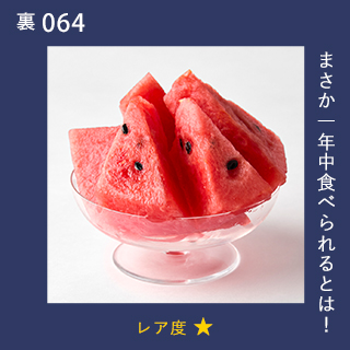 まさか一年中食べられるとは！