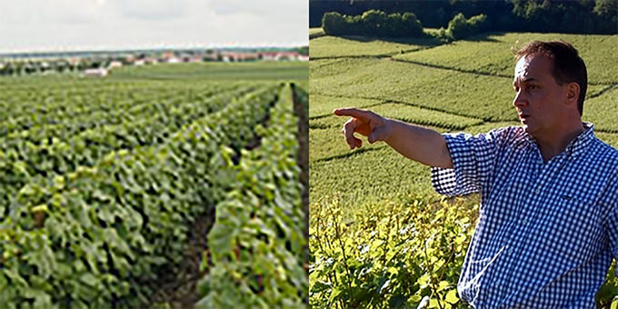 Domaine Egly Ouriet エグリ・ウーリエ