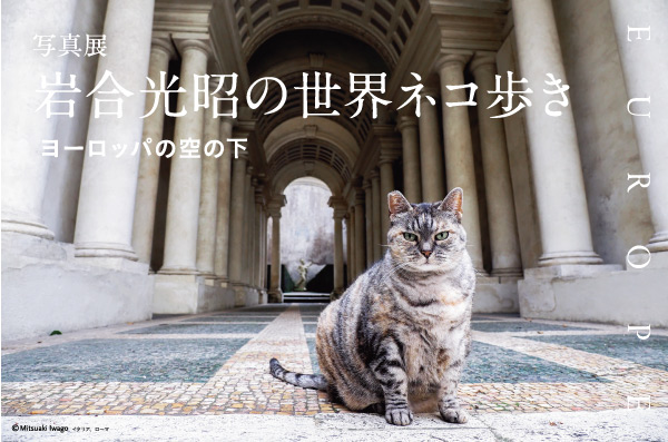 写真展 岩合光昭の世界ネコ歩き ヨーロッパの空の下