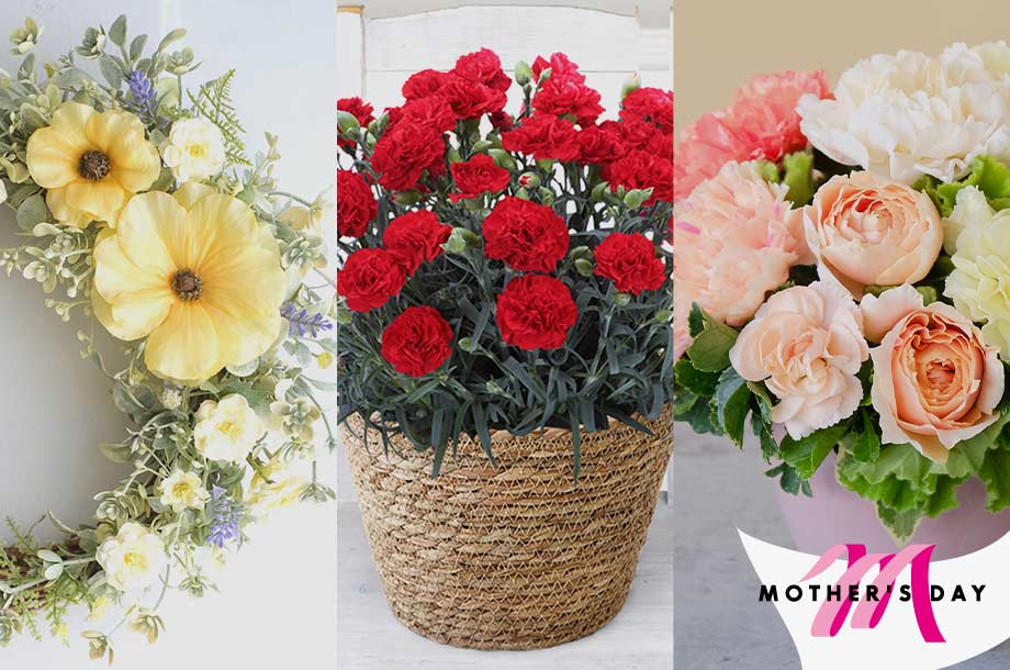 母の日におすすめの花ギフト特集 お母さんのライフスタイルに合わせて贈ろう