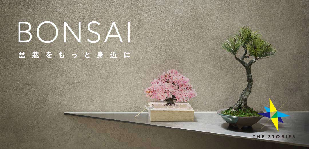 盆栽がもっと身近になる!イセタンシードの推しはメンテナンス不要のお手軽タイプの画像