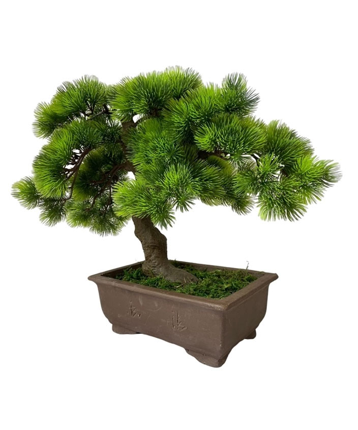 <A-BONSAI>