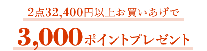 2点32,400円以上お買いあげで3,000ポイントプレゼント