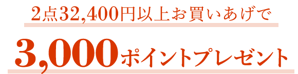 2点32,400円以上お買いあげで3,000ポイントプレゼント