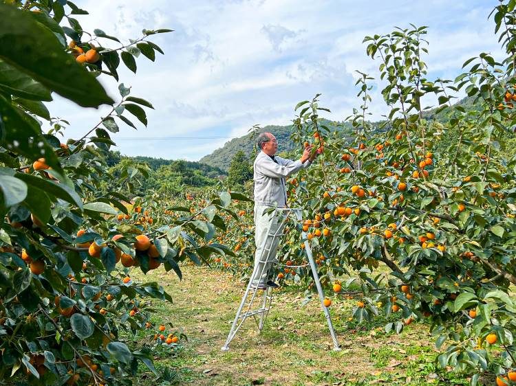 織り果　契約農家