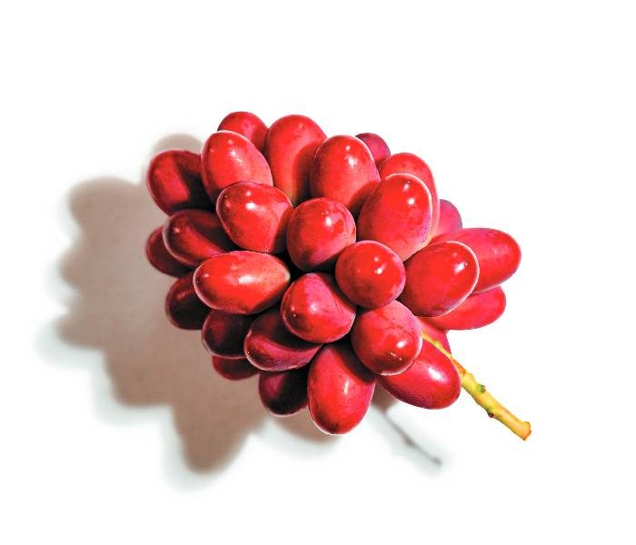 ph