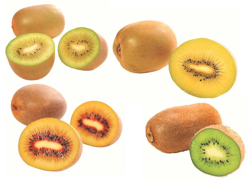 ph