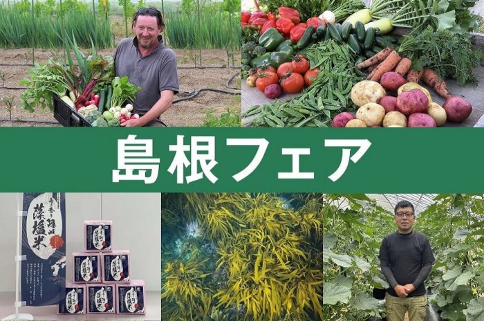 ショップニュース画像