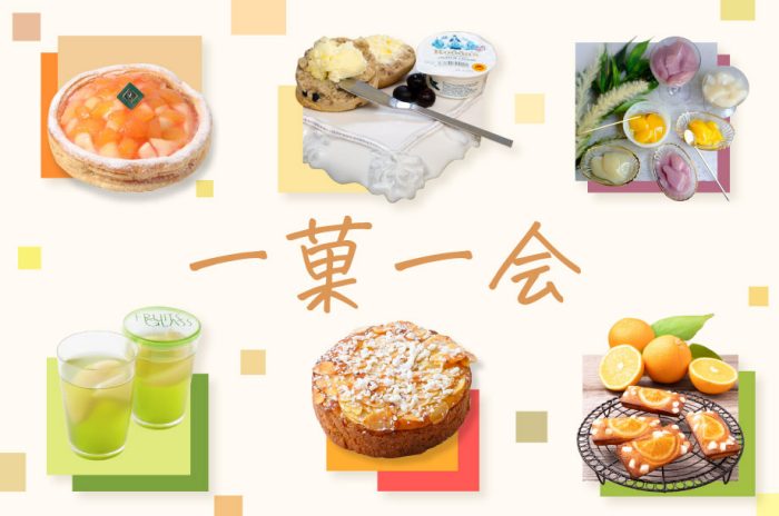 ショップニュース画像