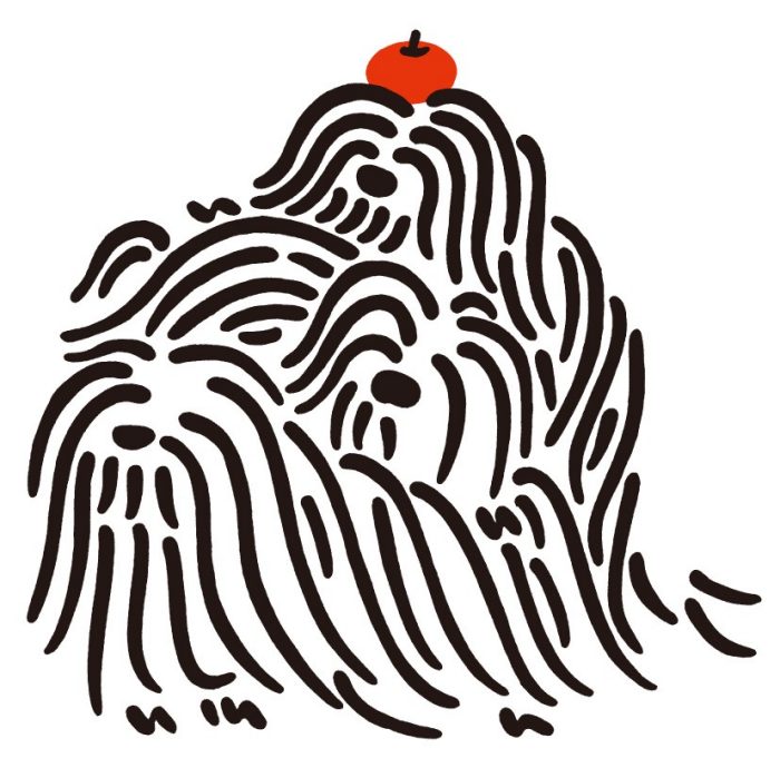 ショップニュース画像