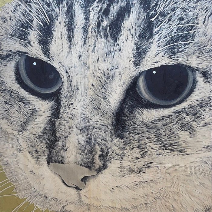 山田 貴裕　作品　展　～THE CATS～
