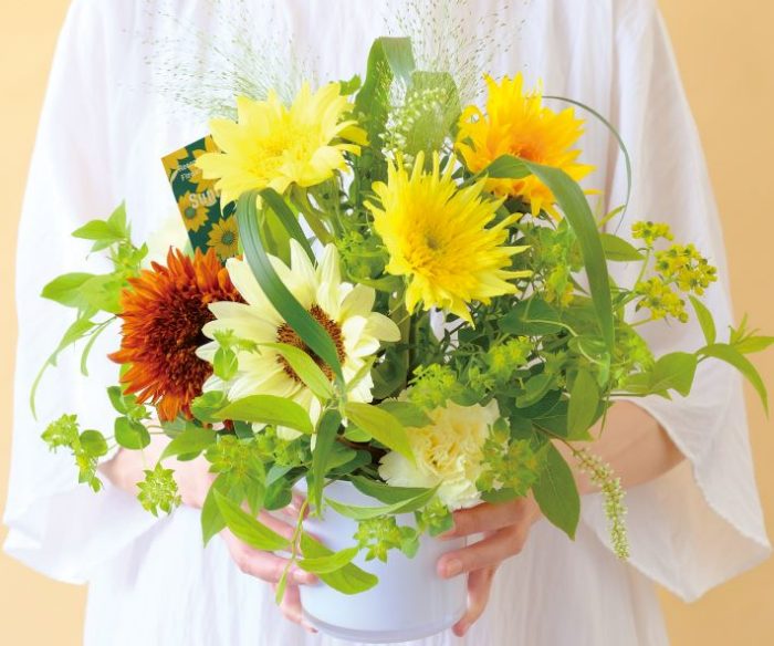 【第一園芸】７月おすすめレコメンドフラワー「ヒマワリ」