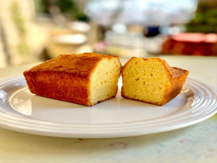 ショップニュース画像
