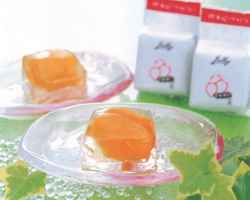 ショップニュース画像