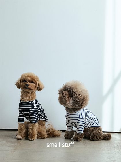 ショップニュース画像
