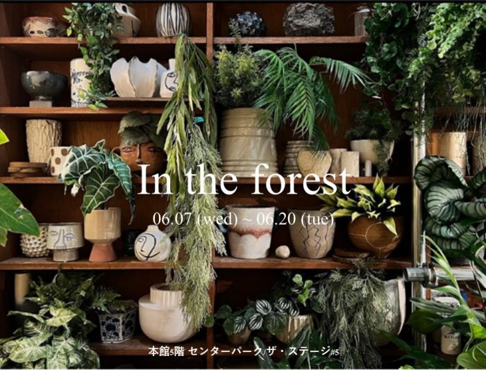 In the forest