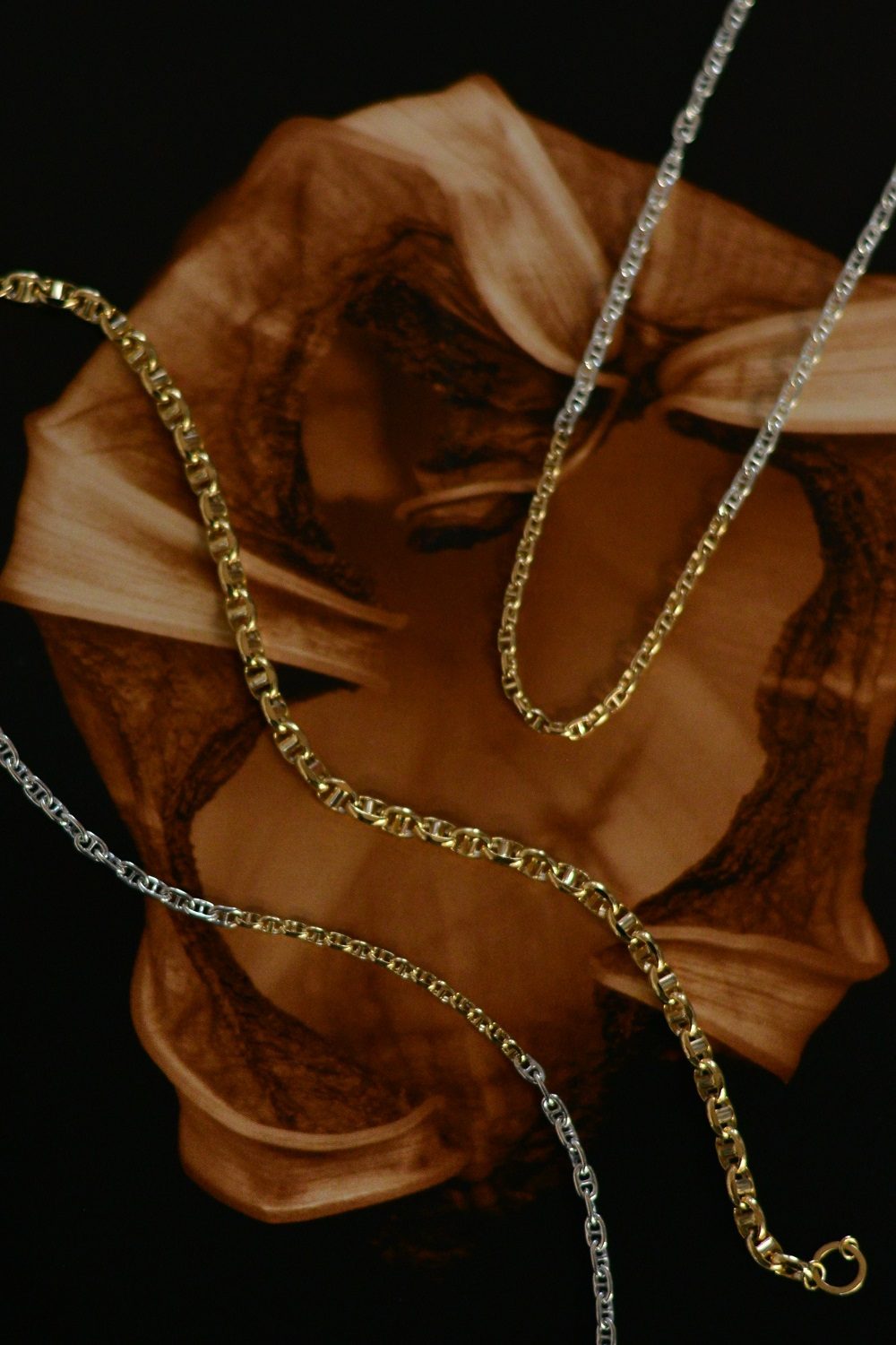 brand-list__img