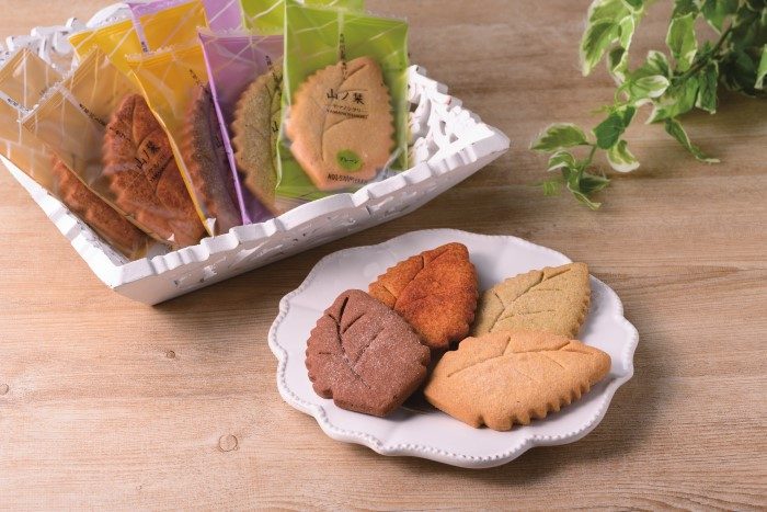 ショップニュース画像