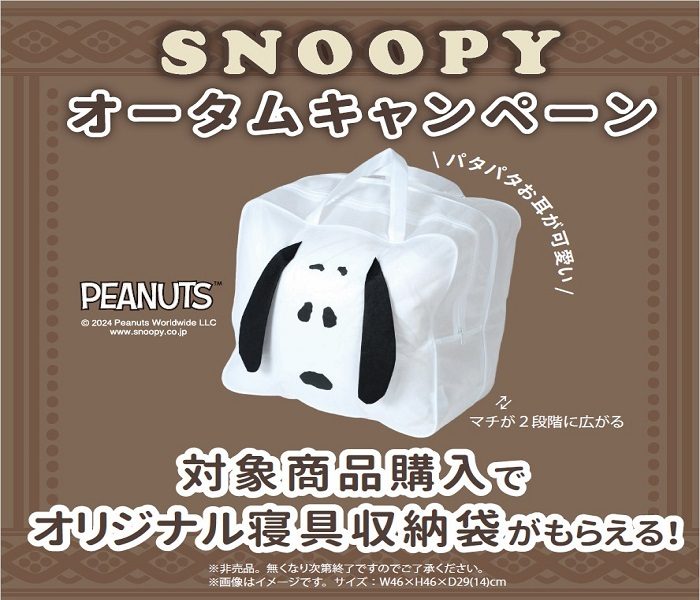 ショップニュース画像