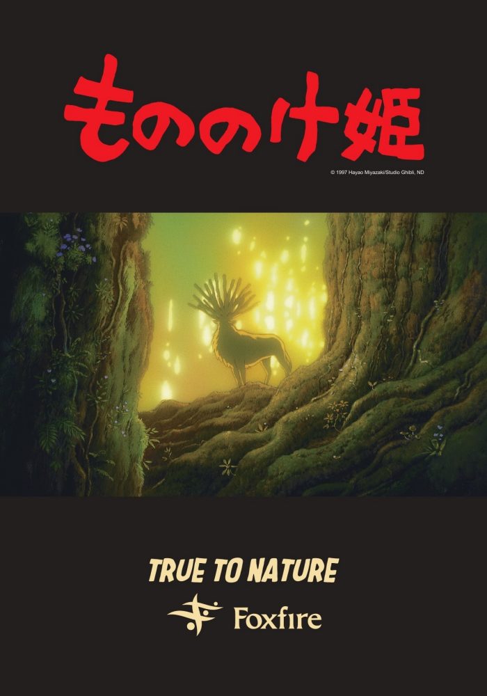 ショップニュース画像