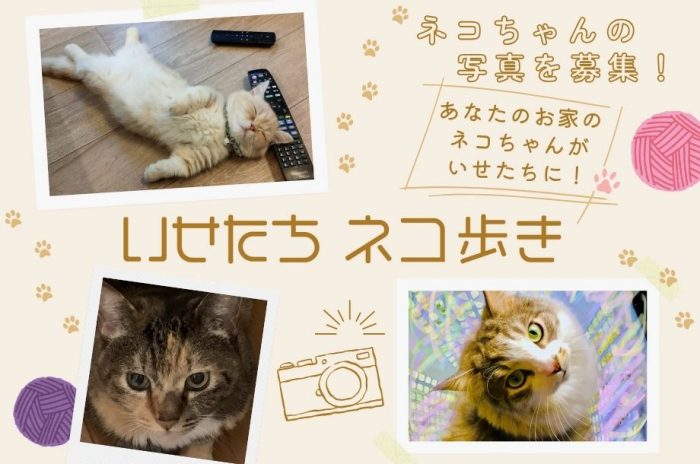ショップニュース画像
