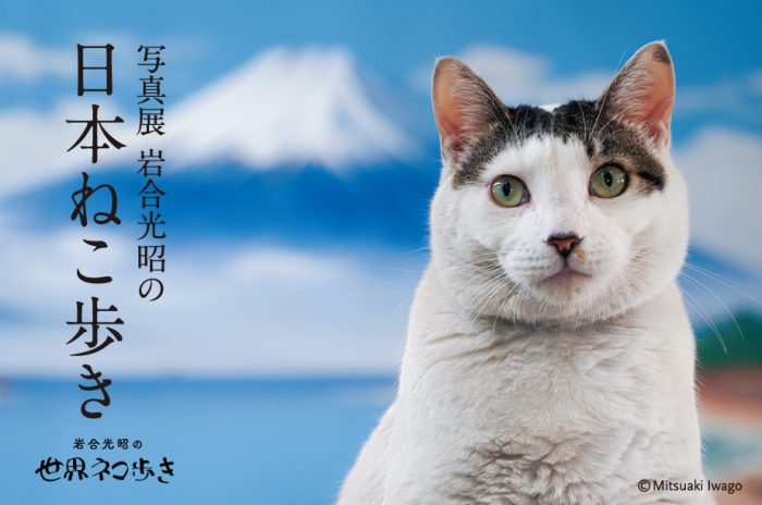 ショップニュース画像