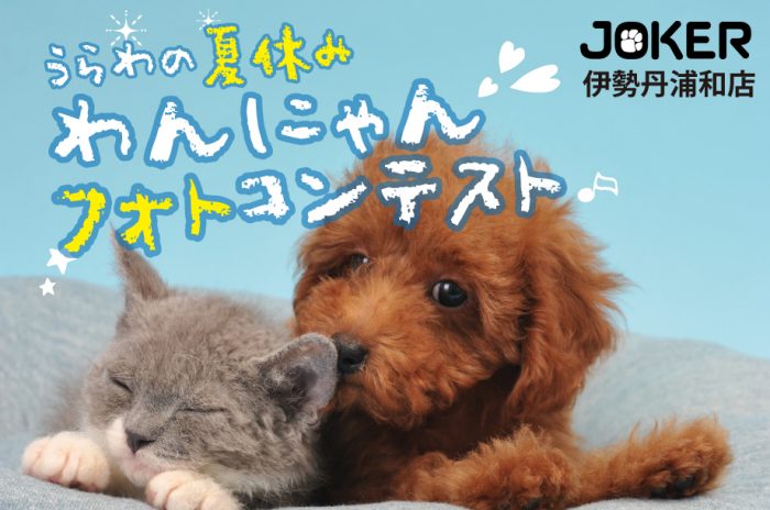 ショップニュース画像
