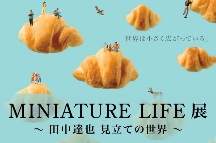 ショップニュース画像